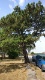 IMG_20180808_102142