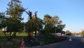 IMG_20181015_093048